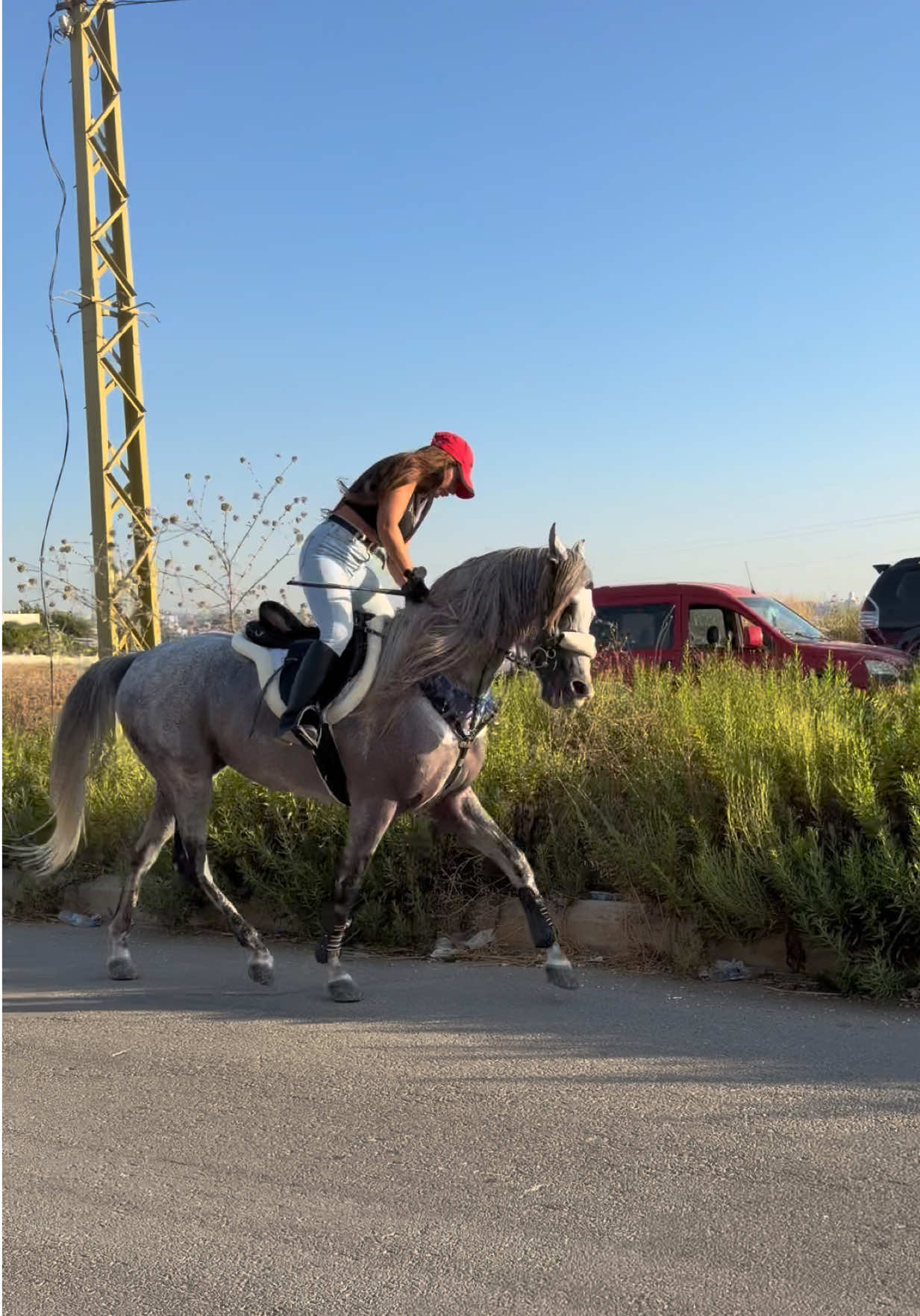 @لــيــن🐎