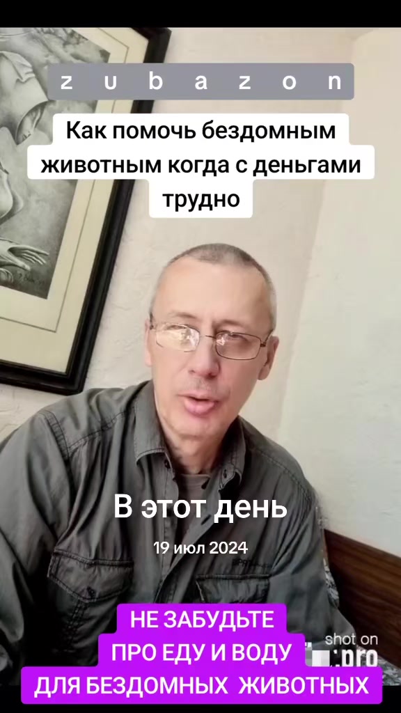 @КОТЫ СОБАКИ И ФИЛОСОФ