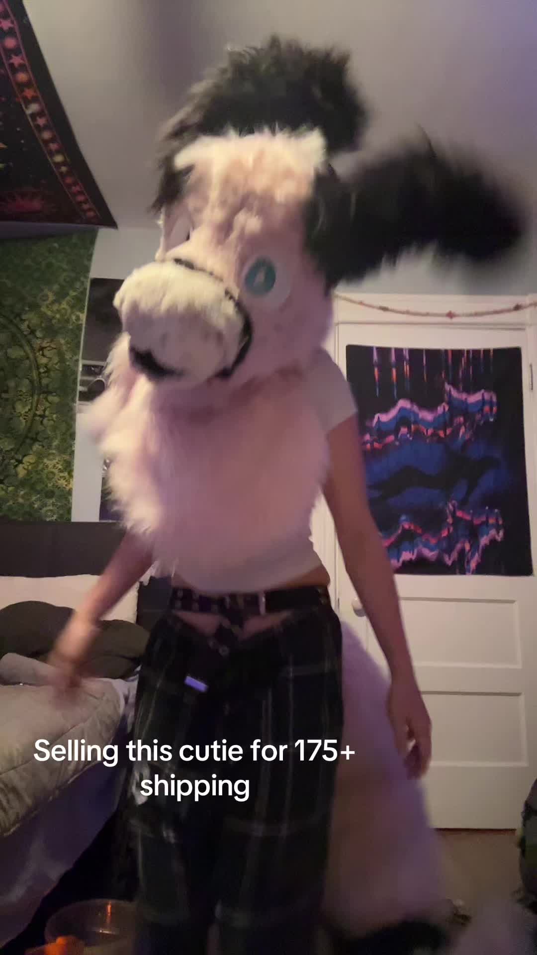 @✮⭒☾∼☽⭒✮