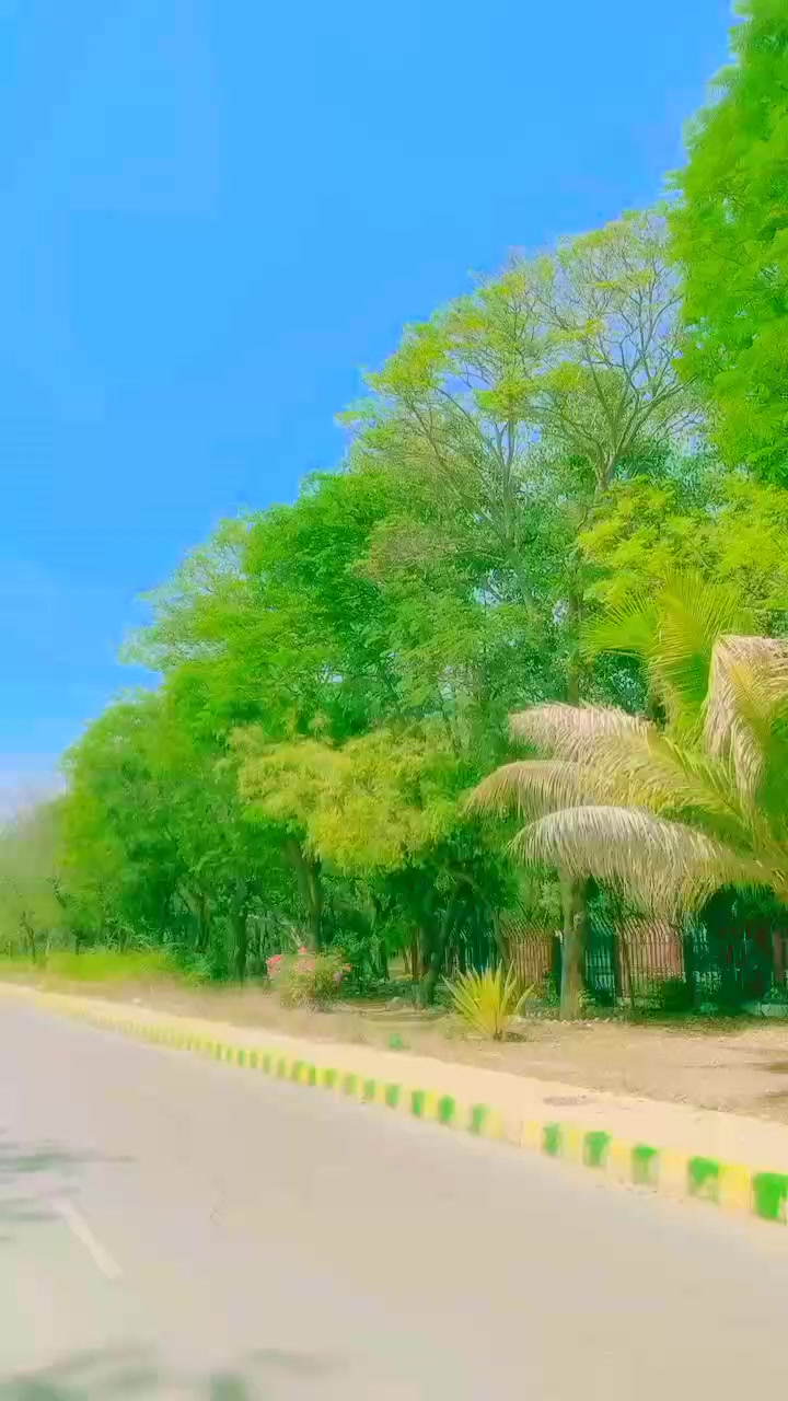 @Saif