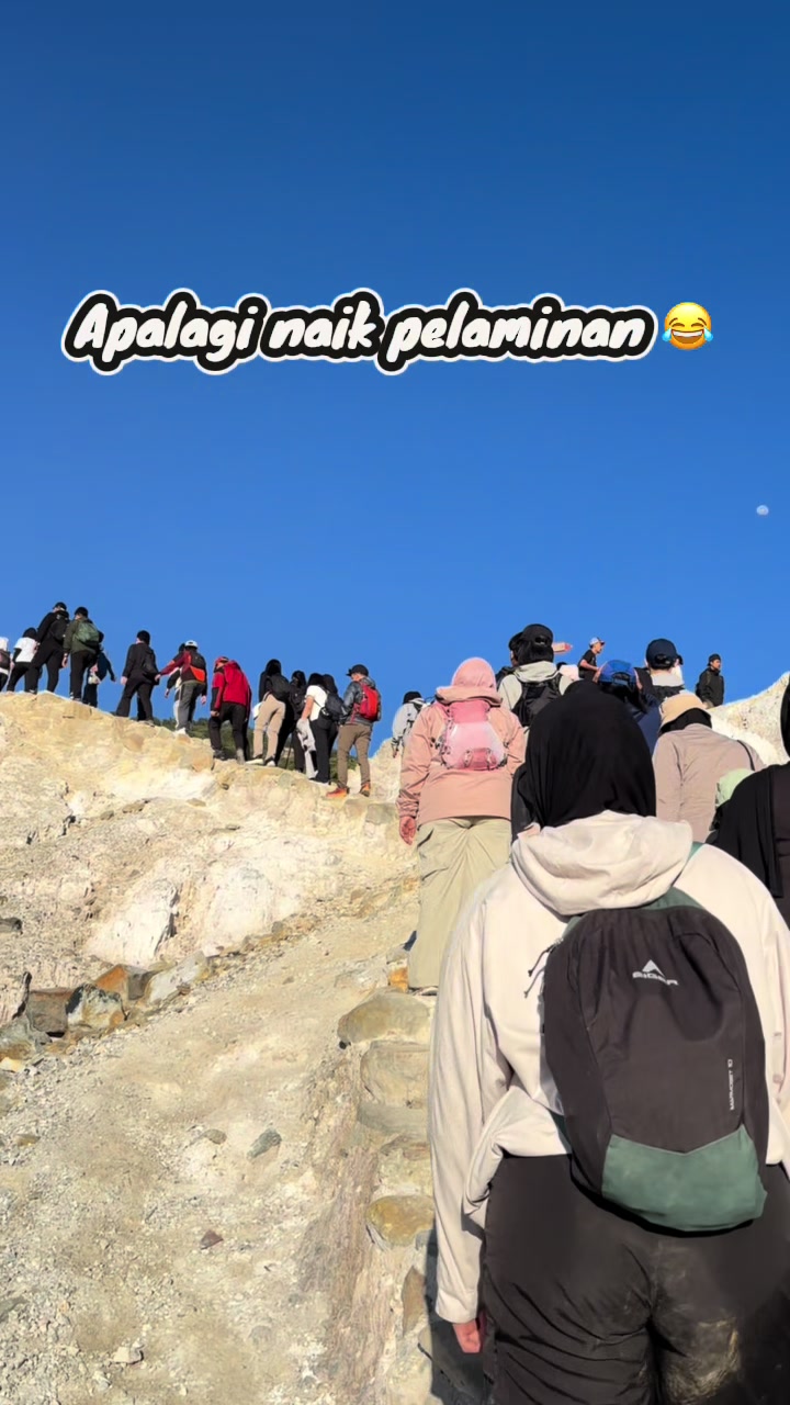 @pipong