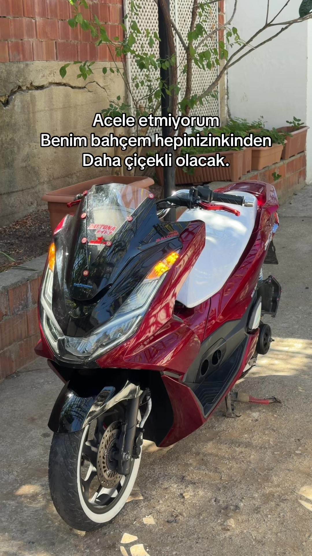 @𝓣𝓪𝓱𝓪 𝓚𝓸𝓼𝓮