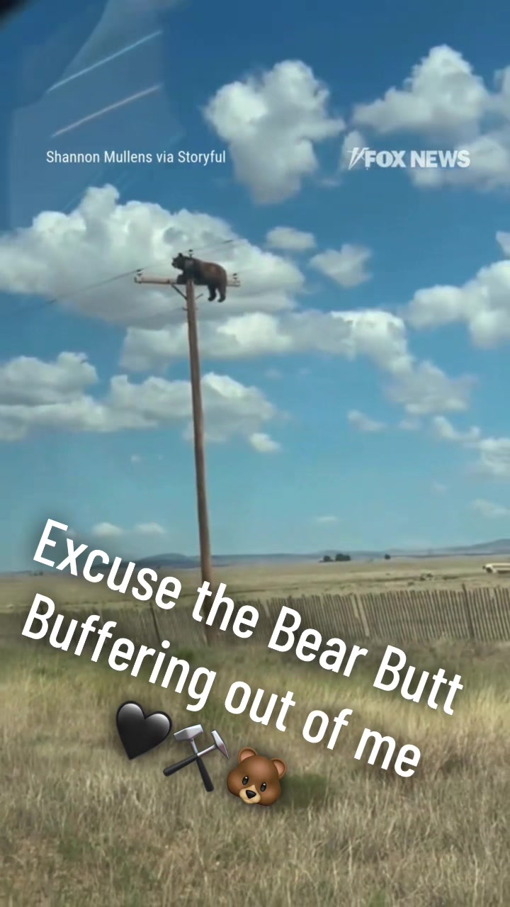 @Nik_The_Forge_Bear❤️⚒️🐻