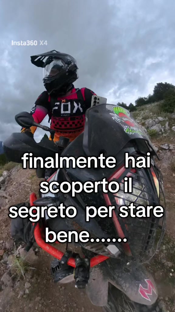 @Daniele Bernaschino 🦍🦁