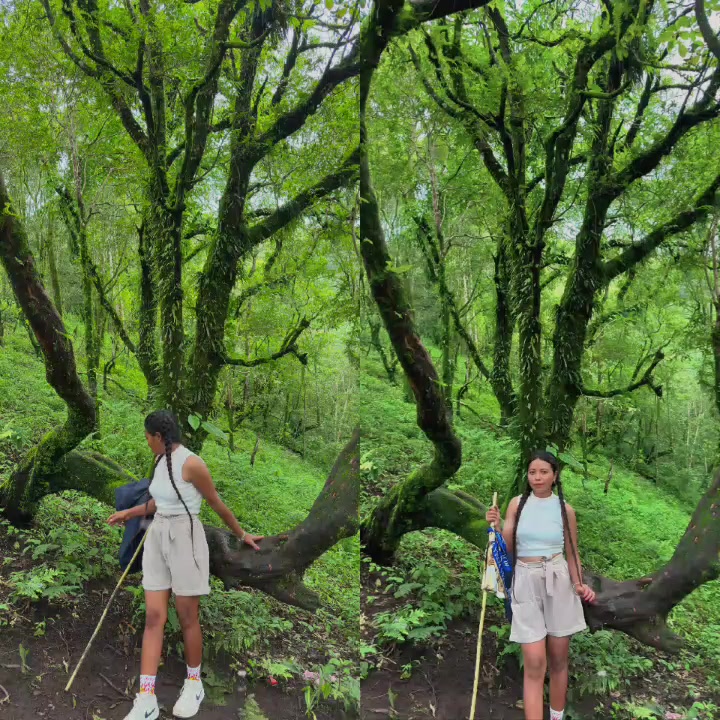 @Magarni☘️