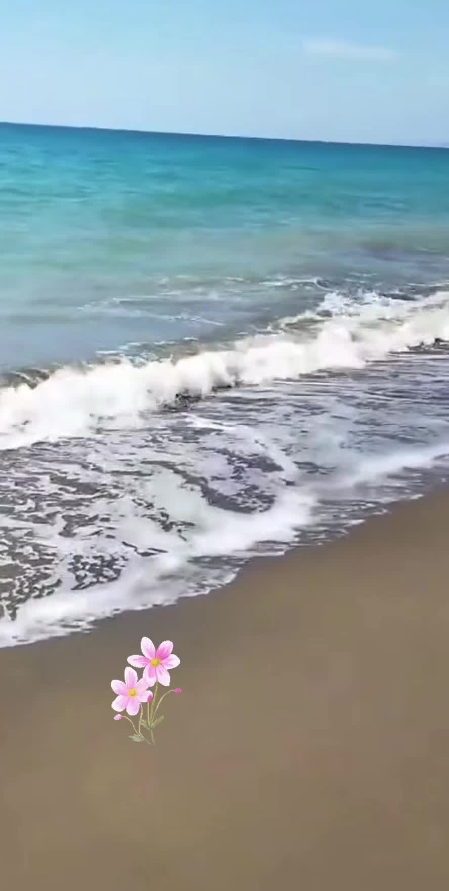 @🌸Manolya 🌸