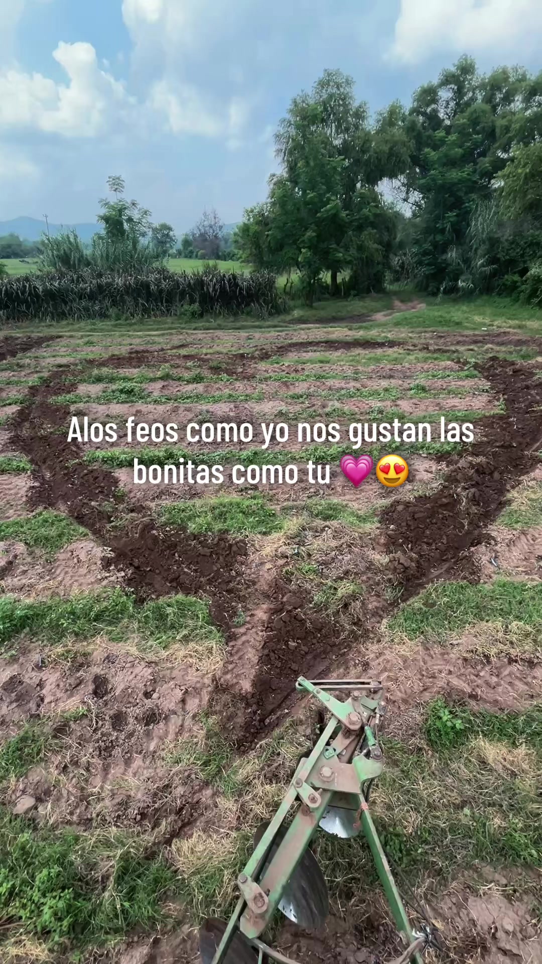 @Junior Lopez