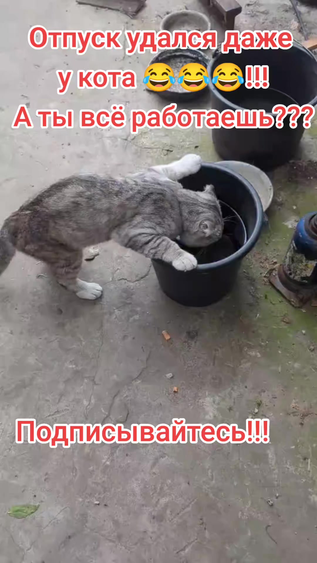 @Варибрус777