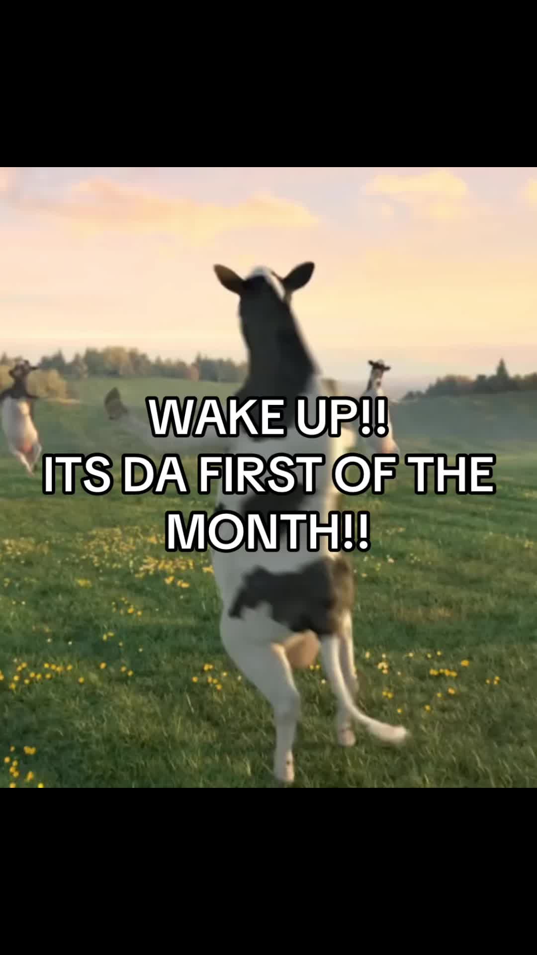 @masnnXX