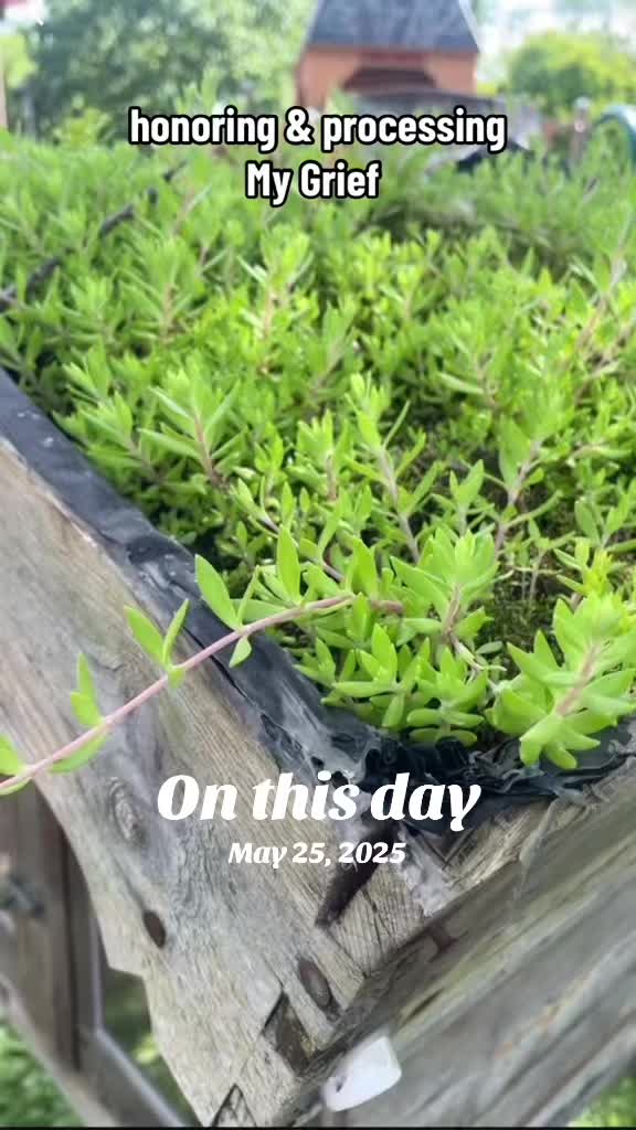 @Odetopotato