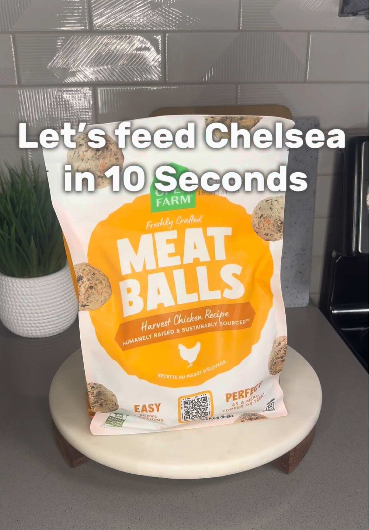 @Dog Bites Daily