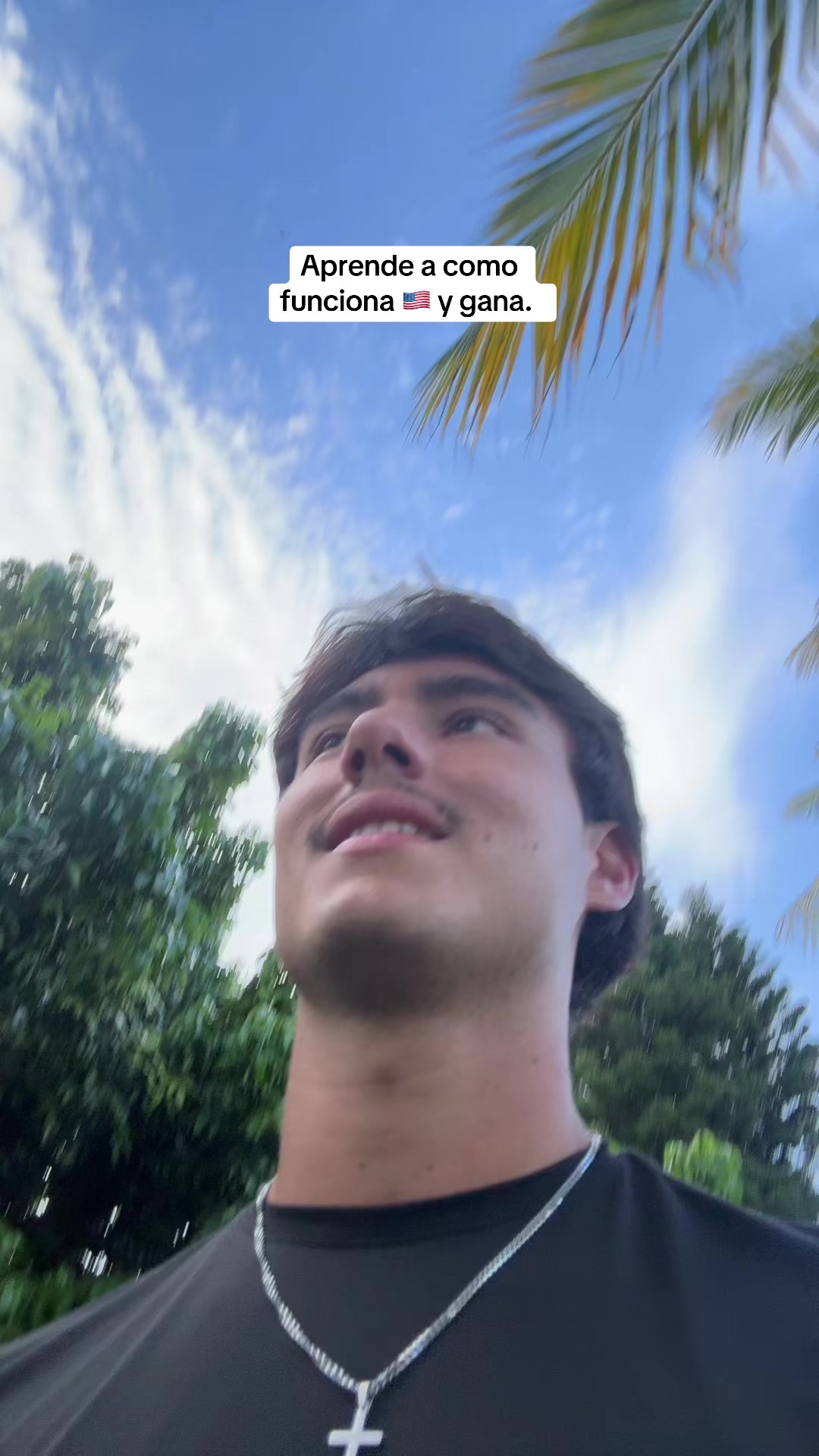 @mendiolaenusa
