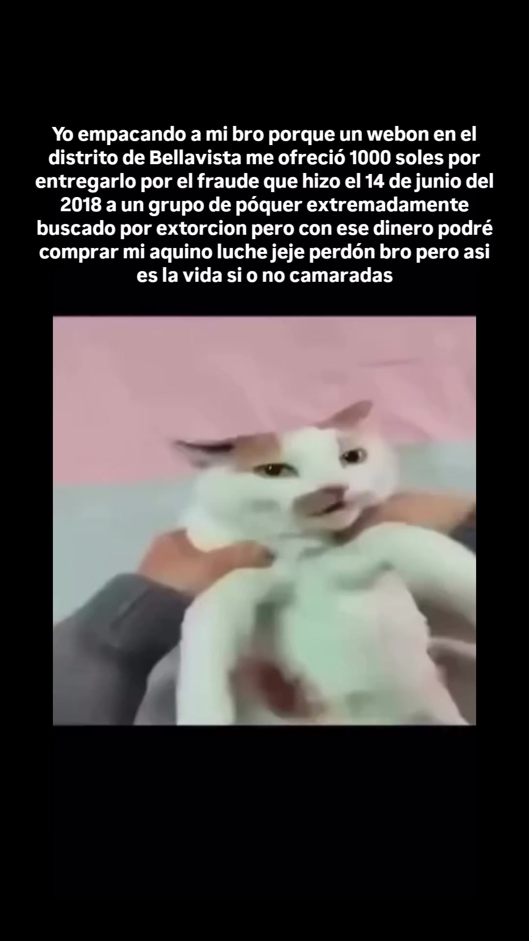 @AQUINOSEA