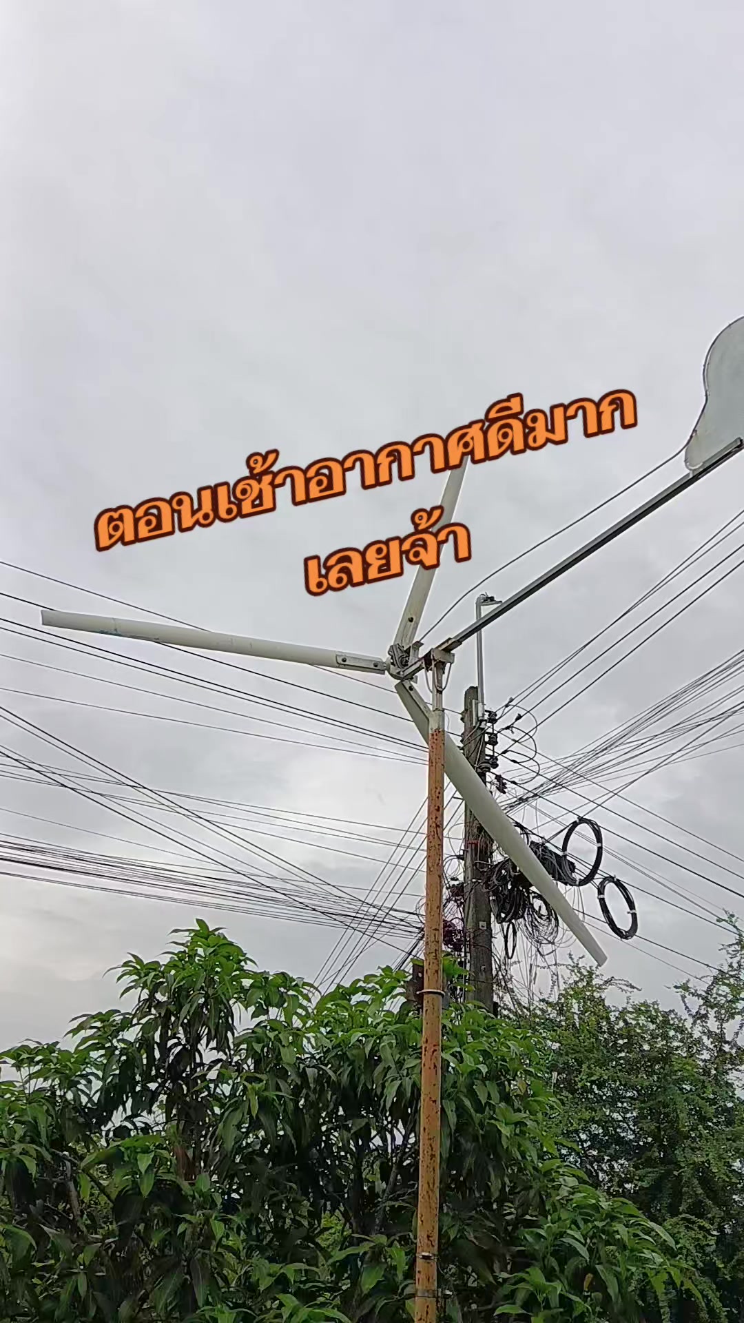 @pranee