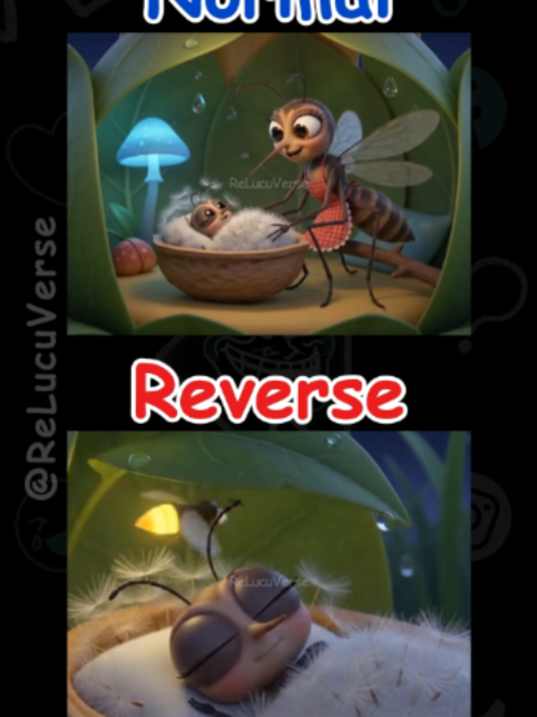 @ReLucuVerse