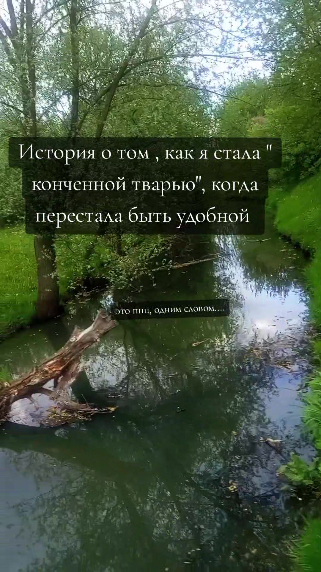 @Графиня де Россохатская