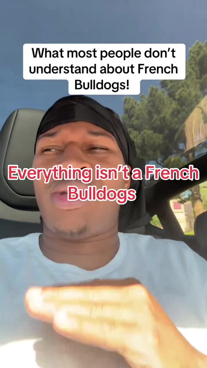 @OGMasterOfAllBulldogs
