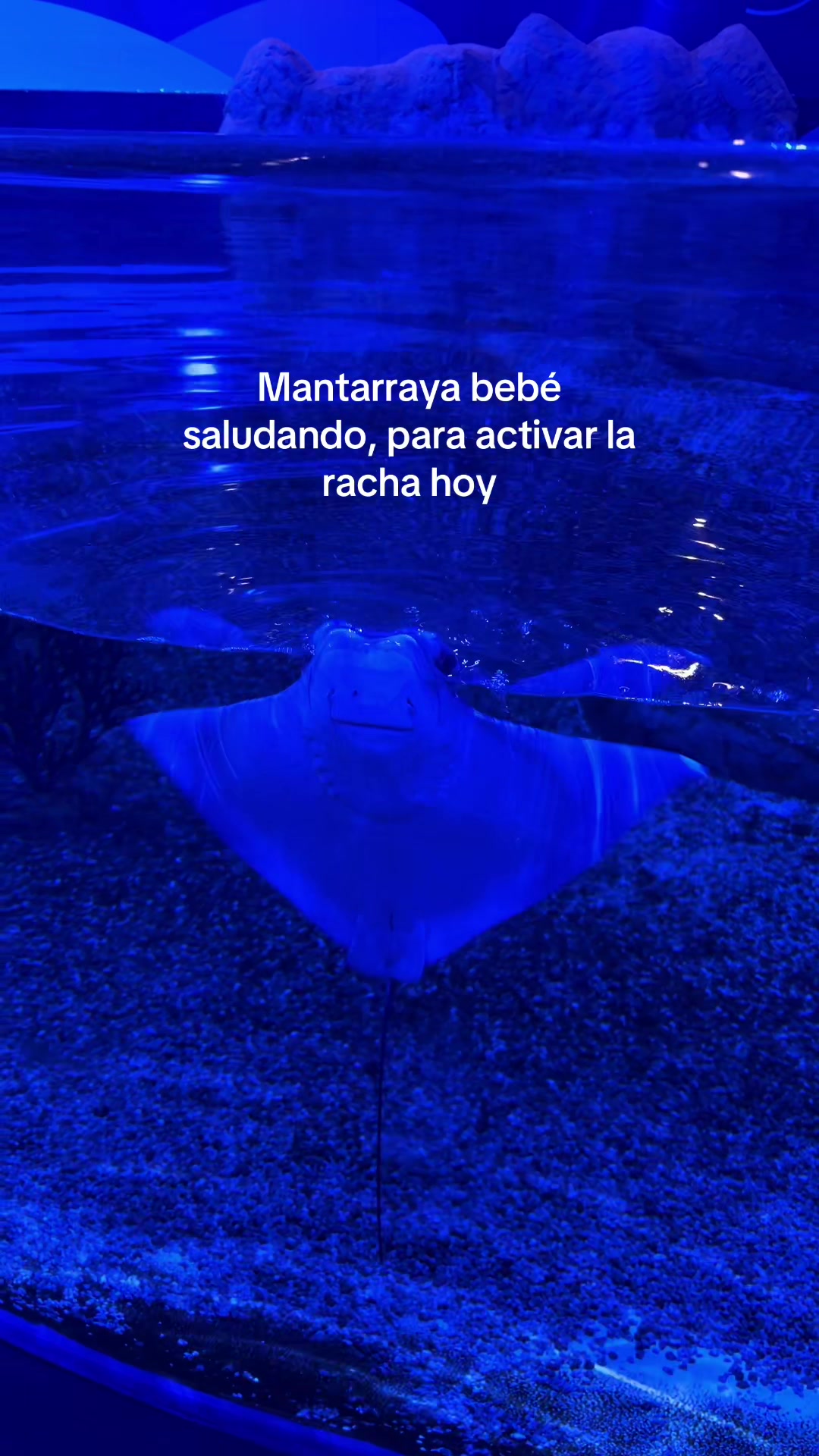 @𝓘𝓽𝔃𝓮𝓵 𝓖🦋