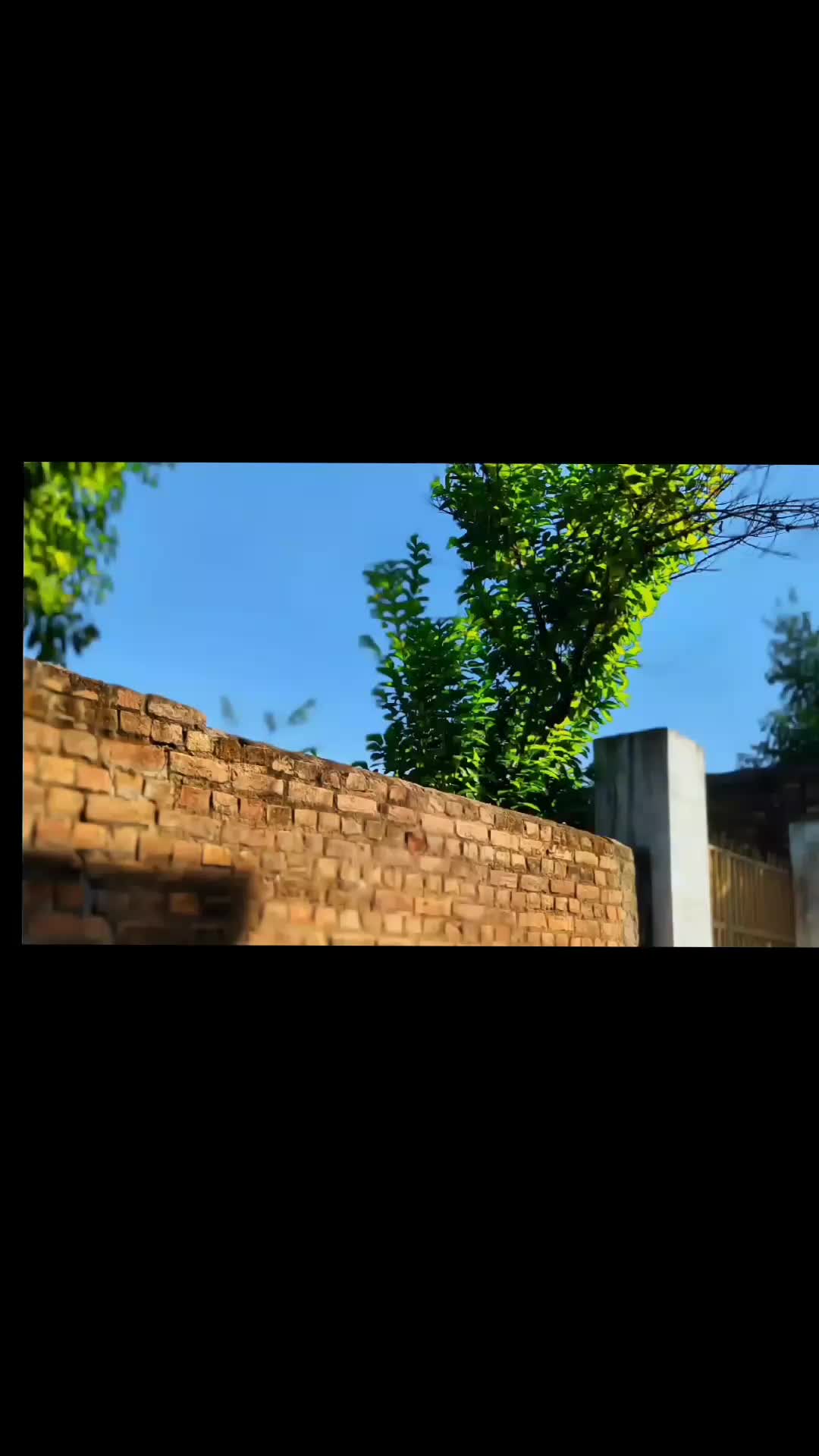 @سیف اللہ