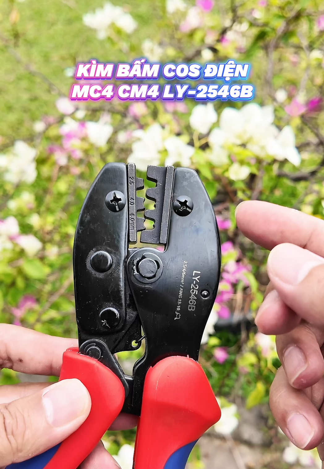 @𝕃𝔼𝕋’𝕊 𝕃𝕌𝕏𝕌ℝ𝕐