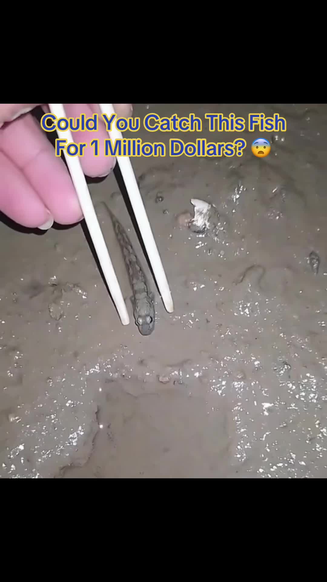 @IdkSterling