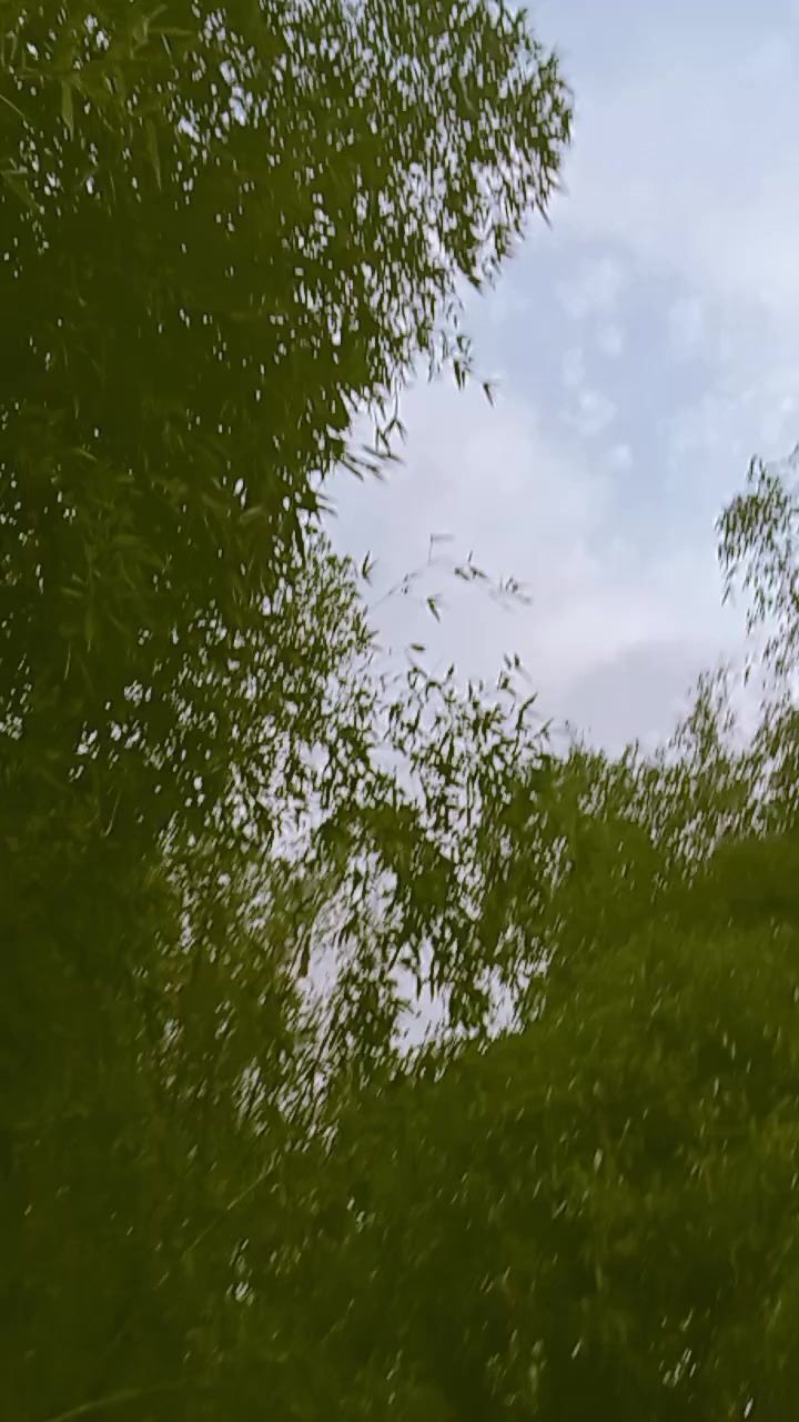 @kanxi