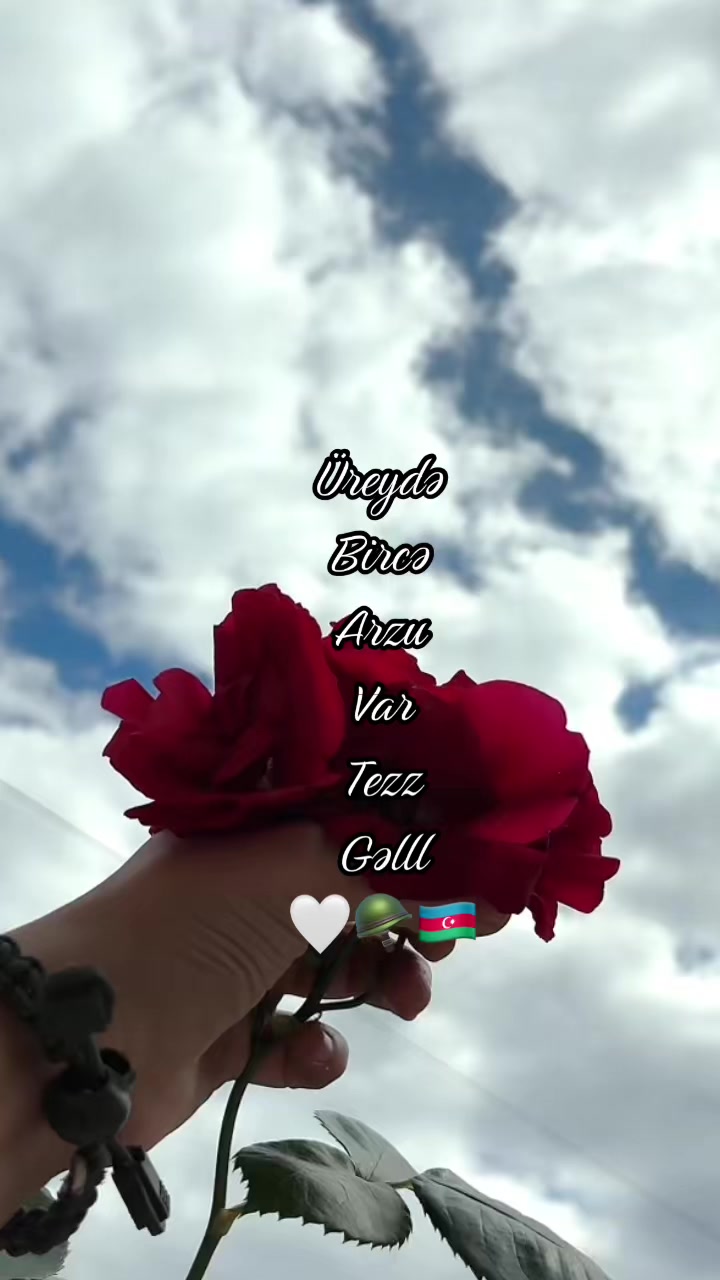 @𓆩𝒫ə𝓇𝓝ə𝓻𓆪