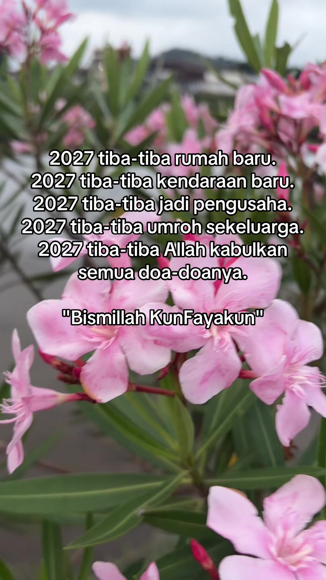 @⋆˚✿𝓘𝓫𝓾 𝓴𝓸𝓼𝓽 ᥫ᭡