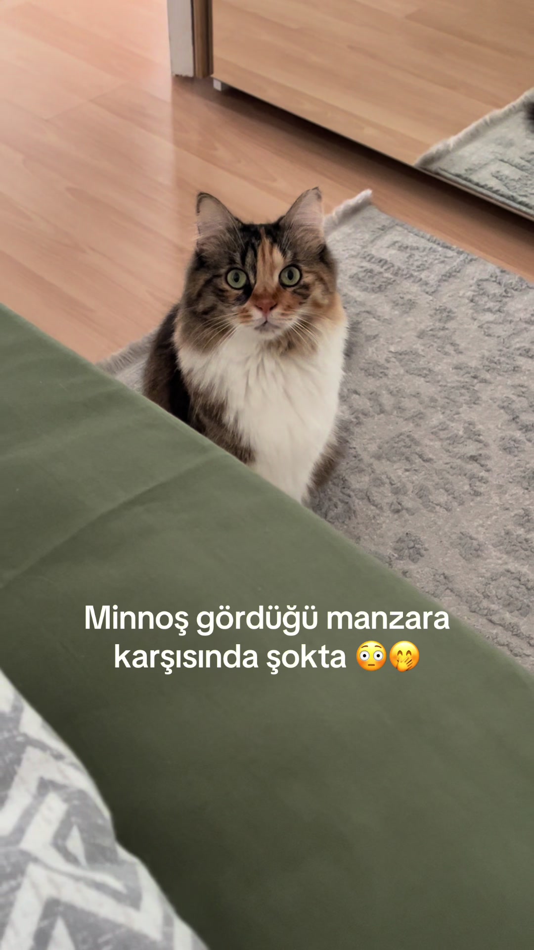 @konusankediminnos