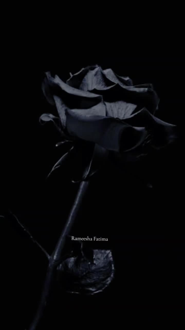 @Rameesha Fatima