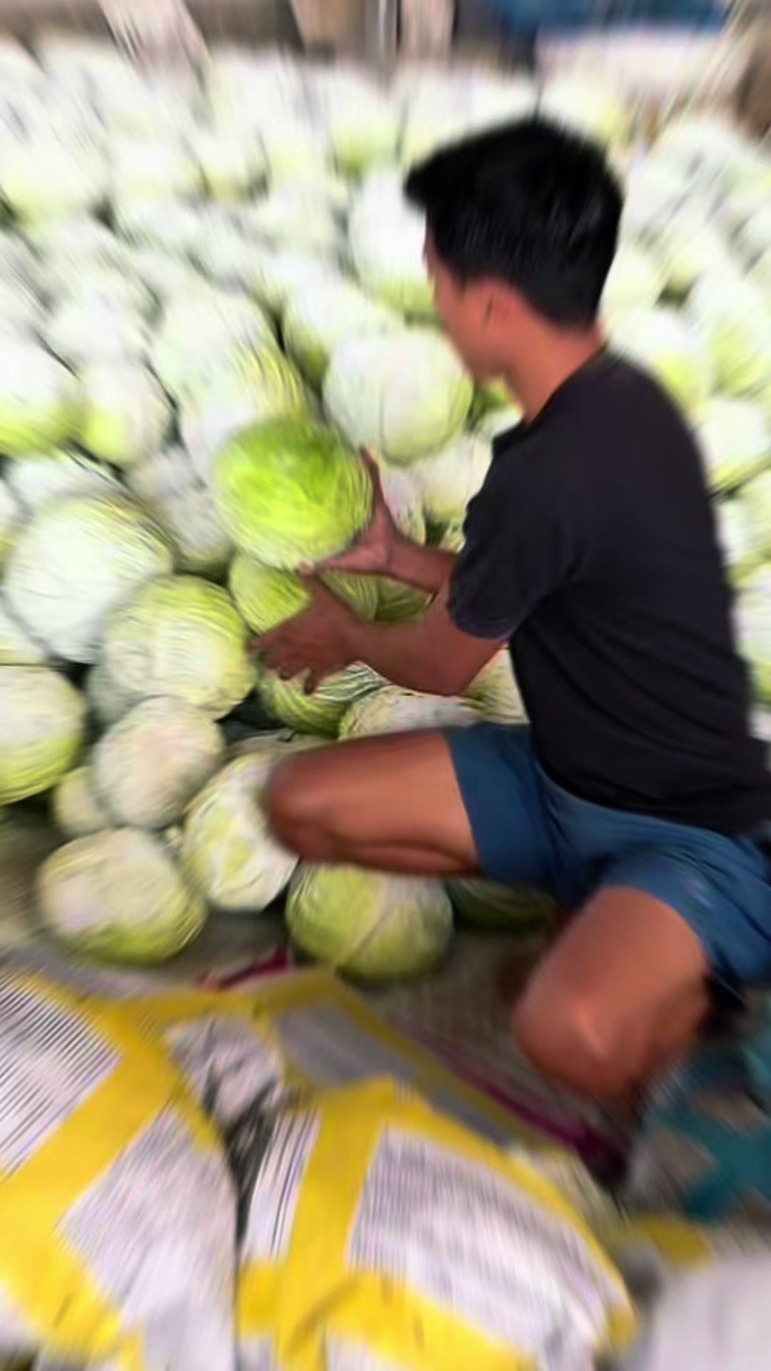 @MEGA TRANS SAYUR MALANG