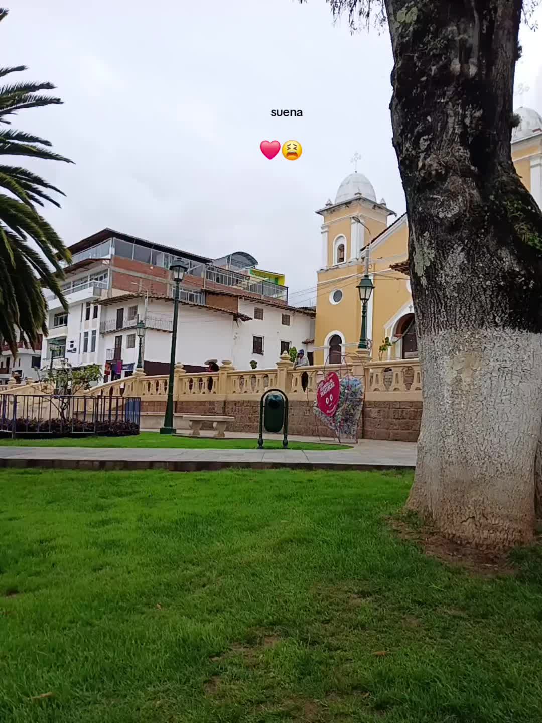 @Mxycl_&sup1;⁰
