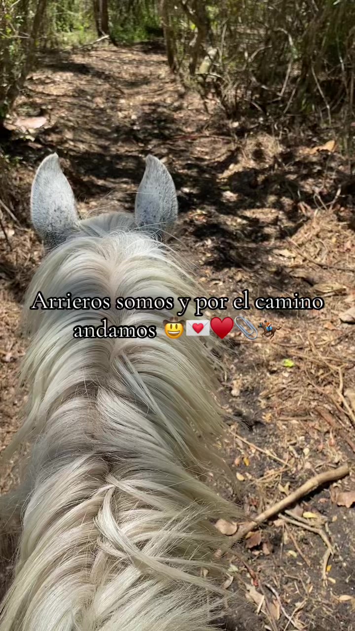 @ SR🎀🧸ྀིྀི