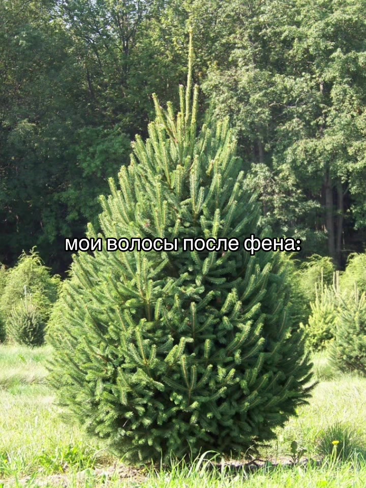 @Леська 🚩🪜