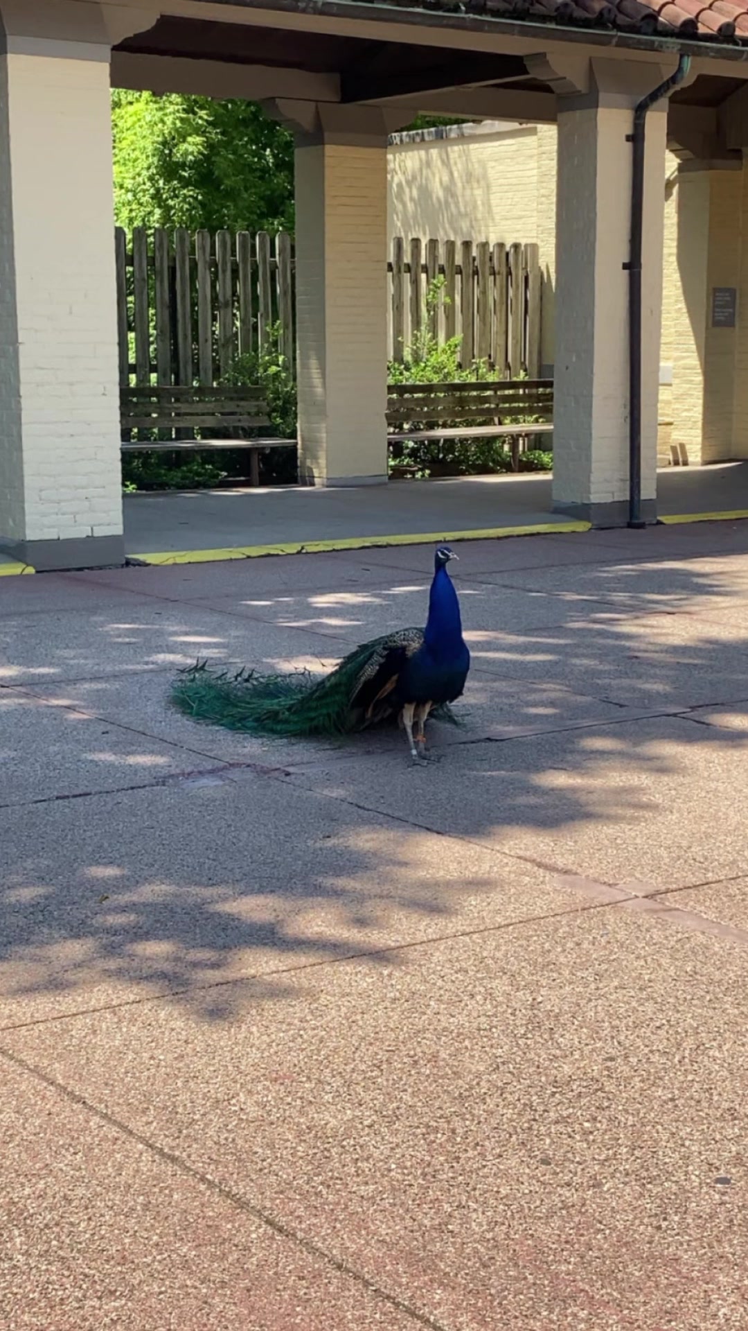 @ENicole593