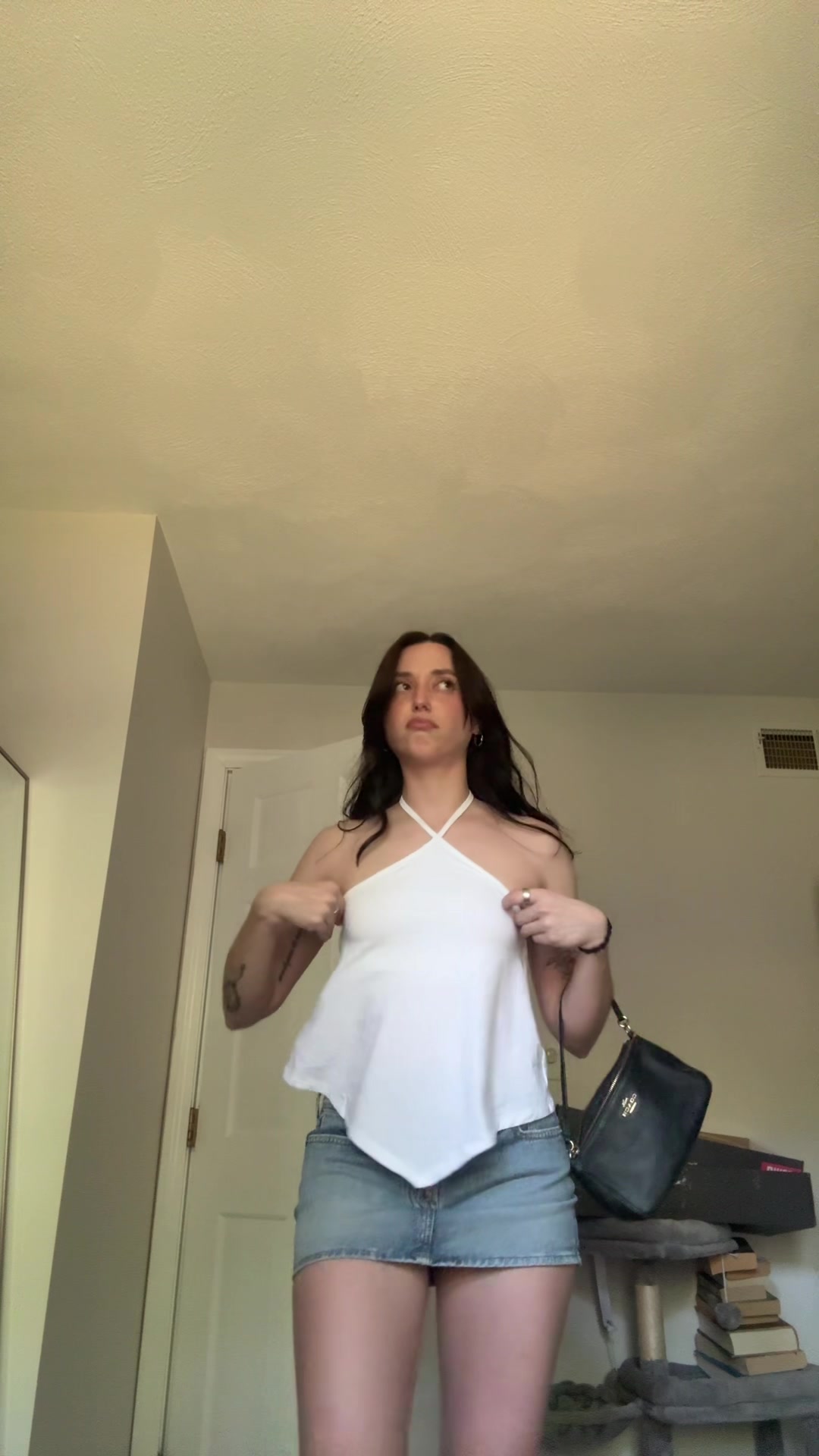 @briconatorfries