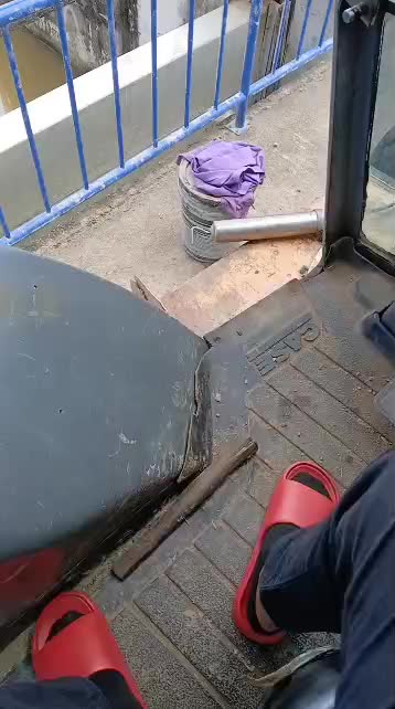 @l,am porpo