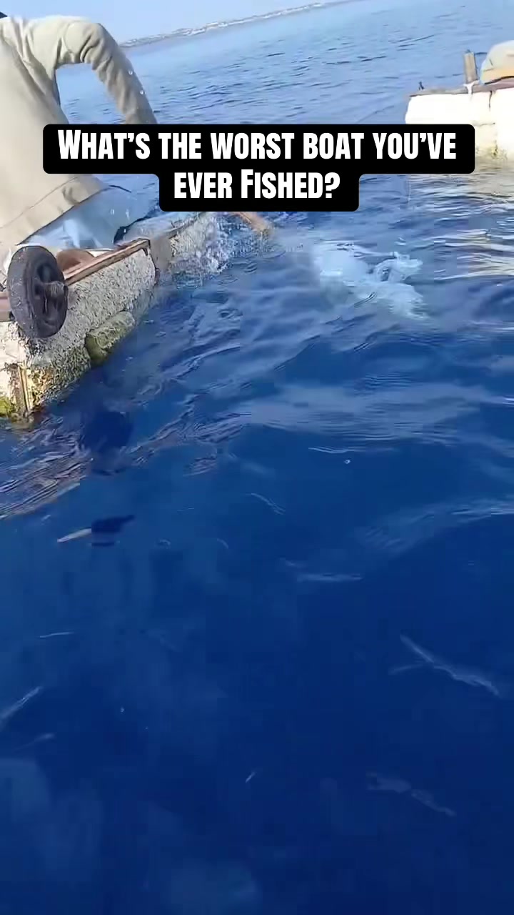 @daily.saltwater