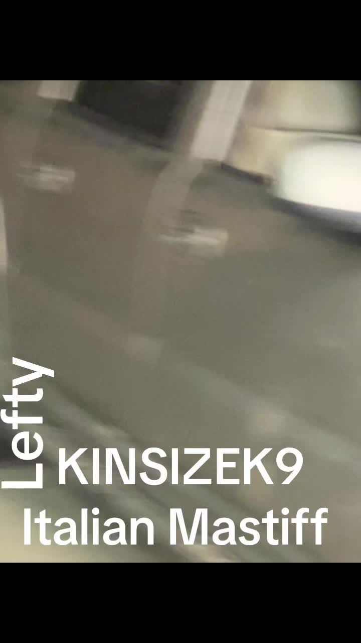 @KingCorso