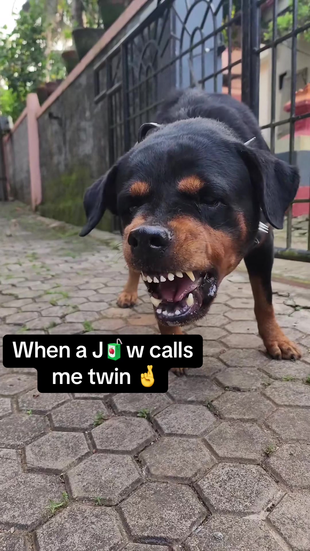 @Promonker