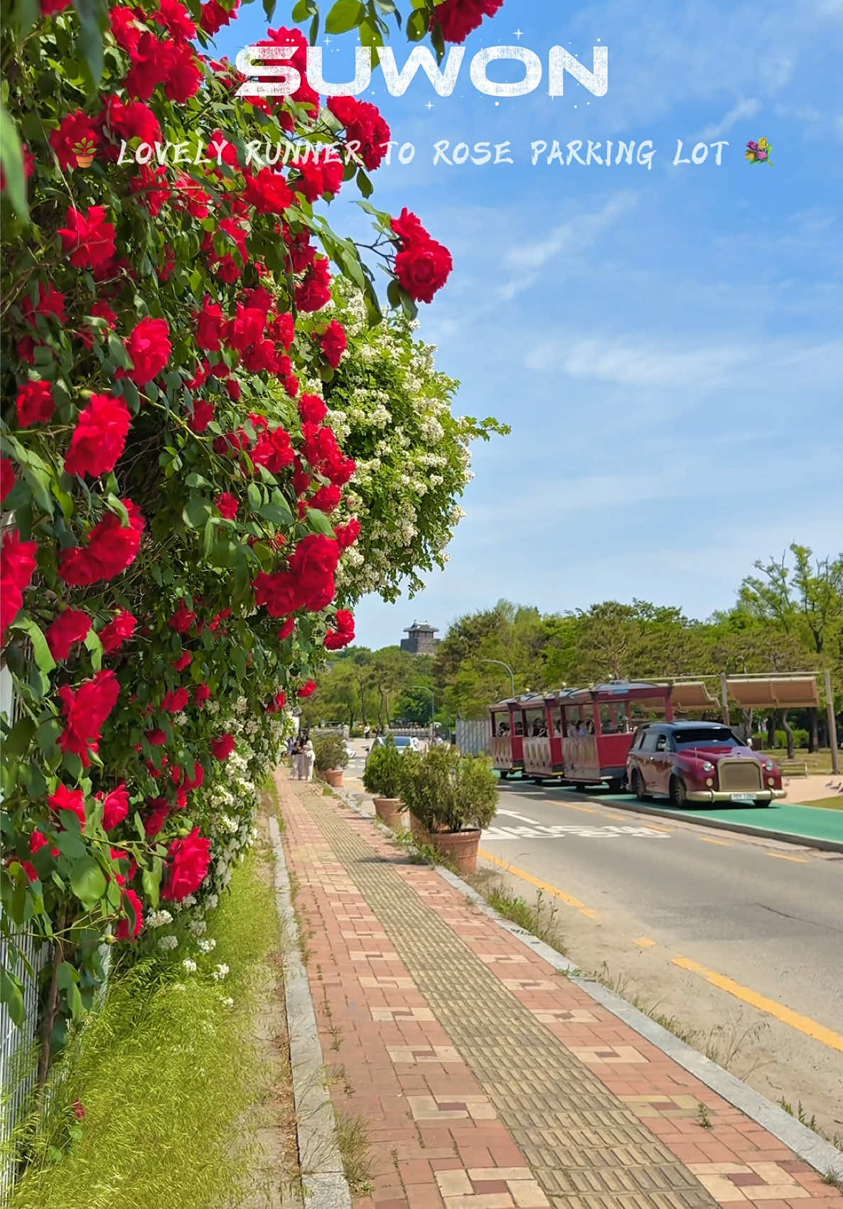 @Jun 🇻🇳
