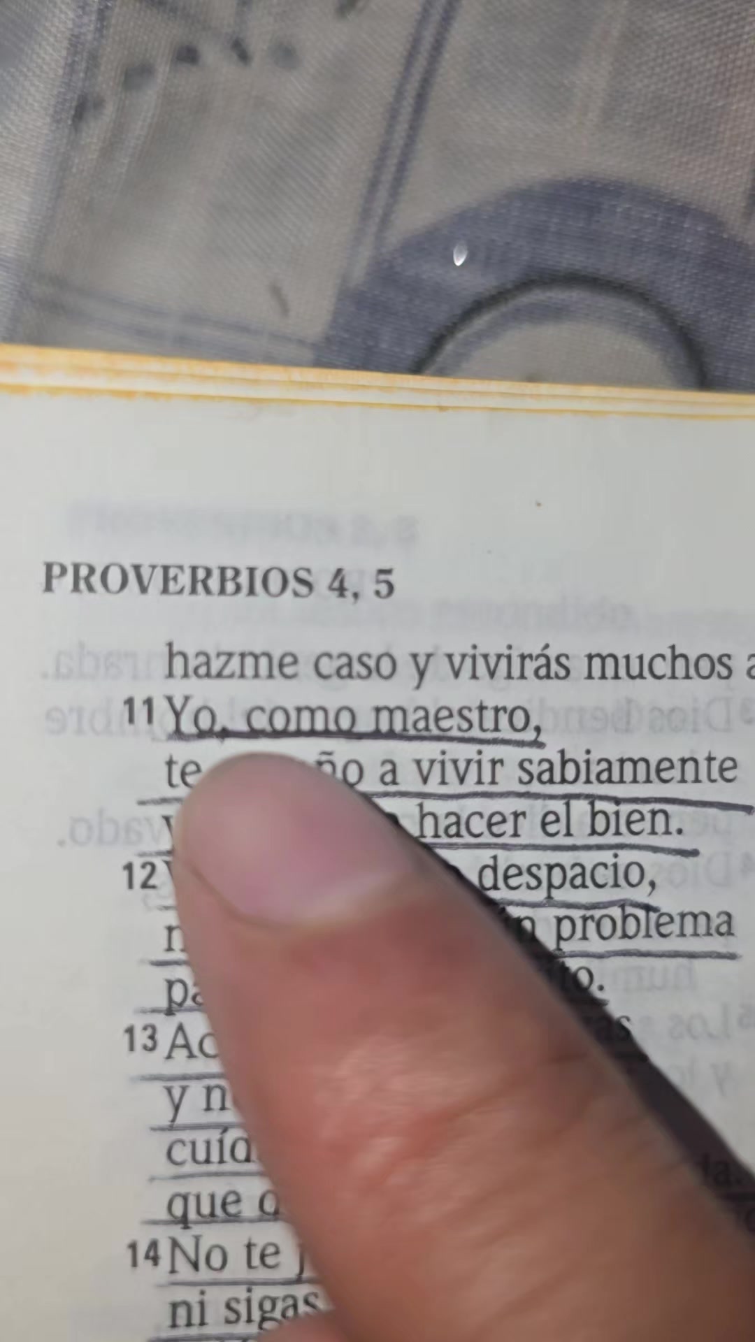 @Palabra de Dios