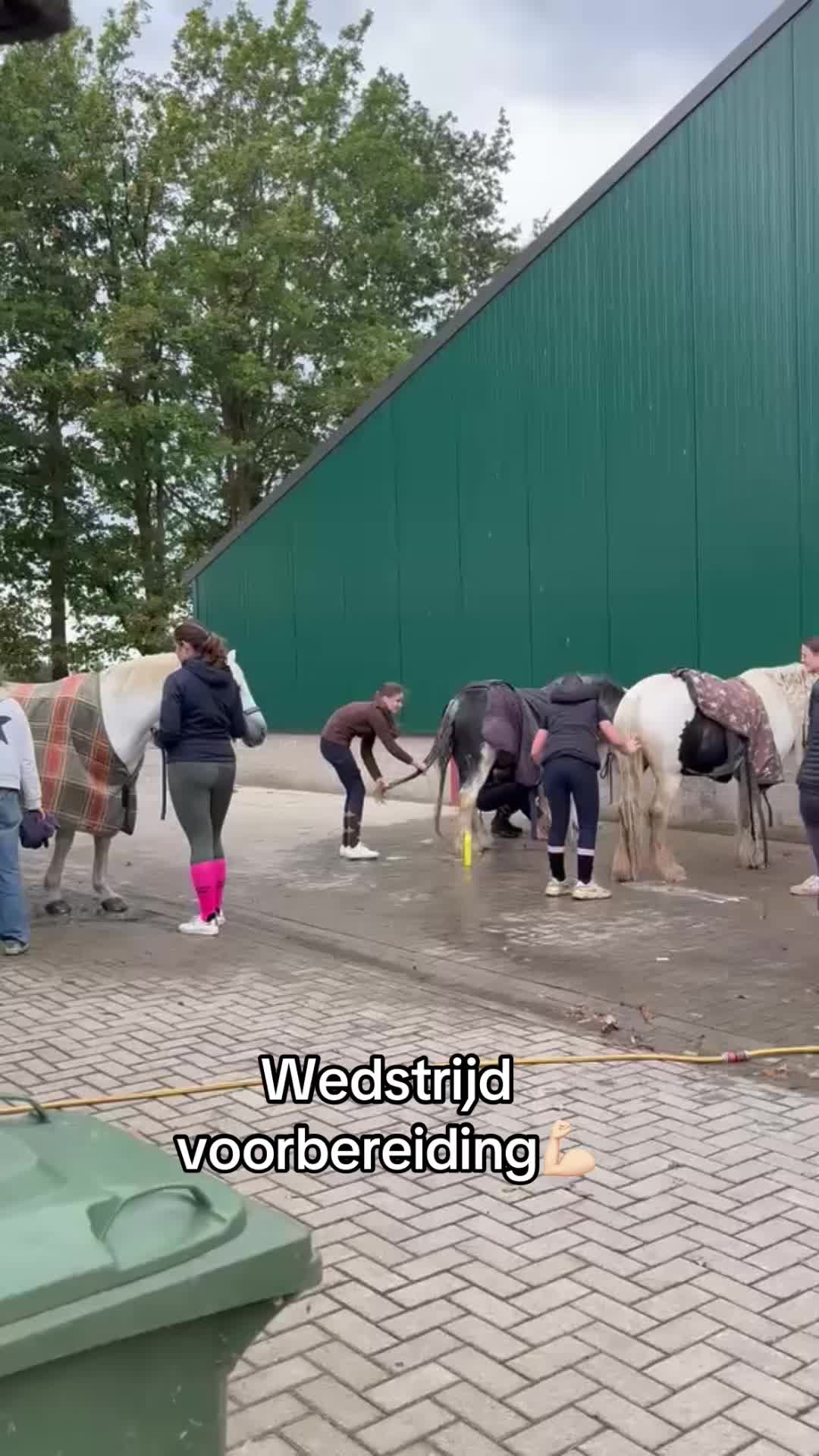 @Syrche Cordewener