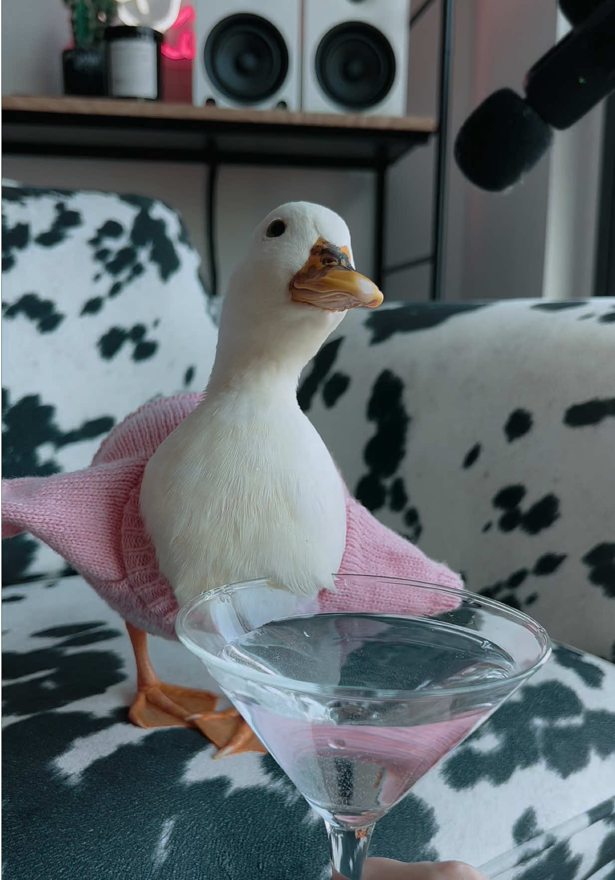 @ducks_in_space🪿🪿💦
