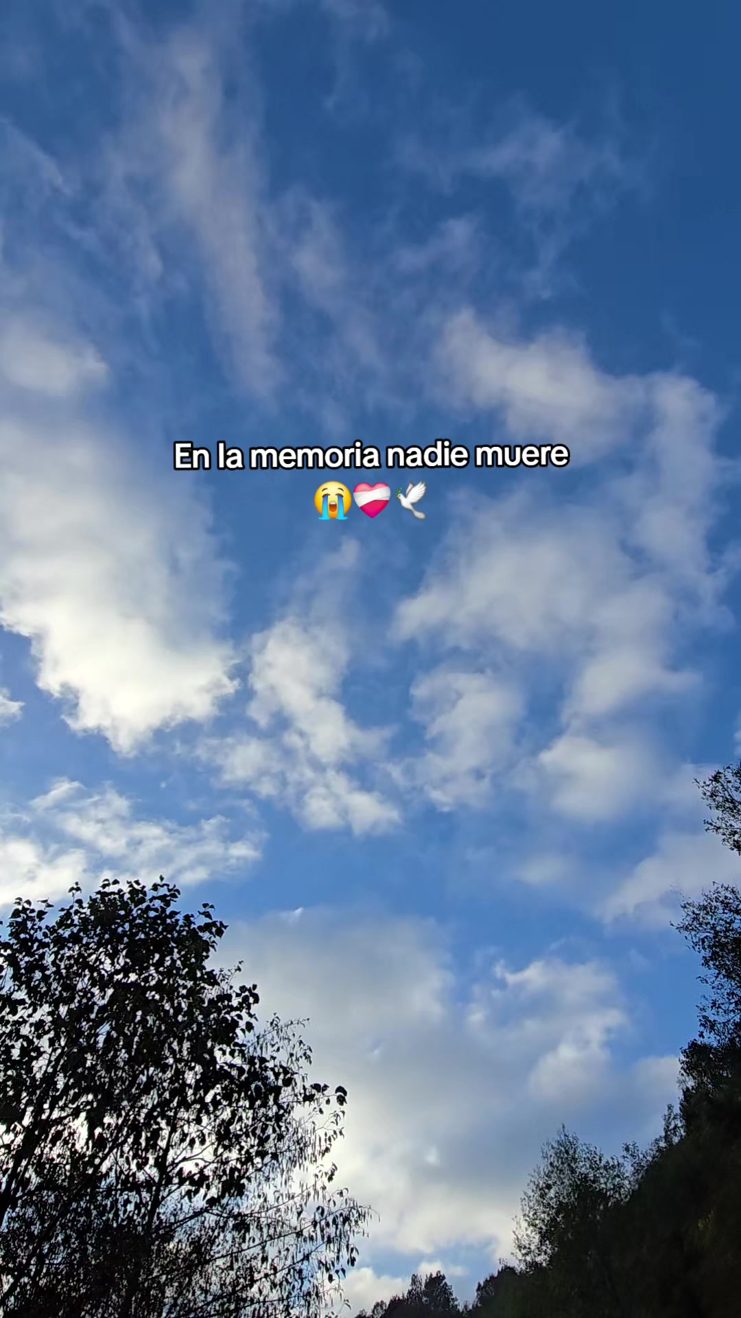 @Salas🙊