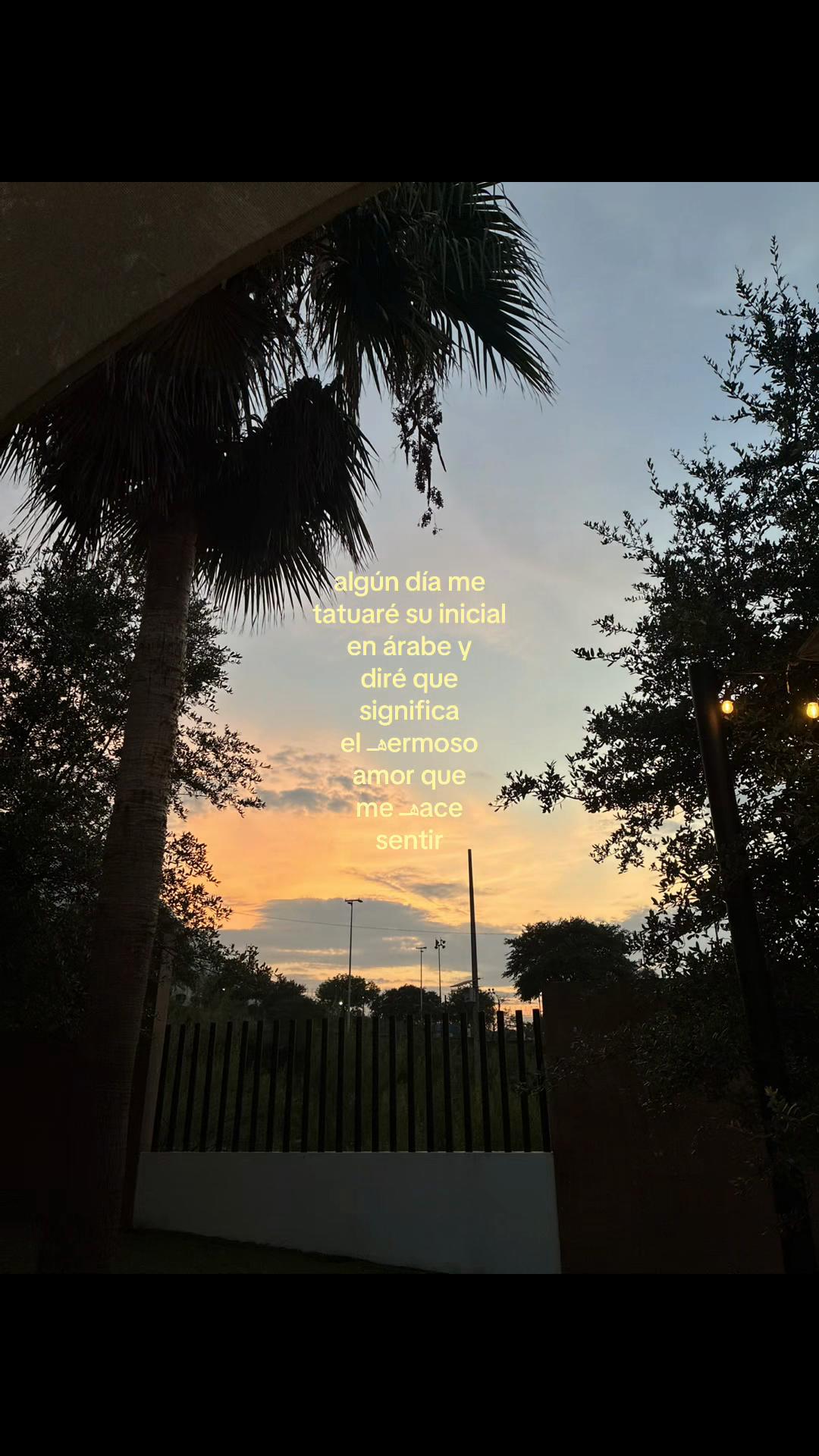 @pauchisprime