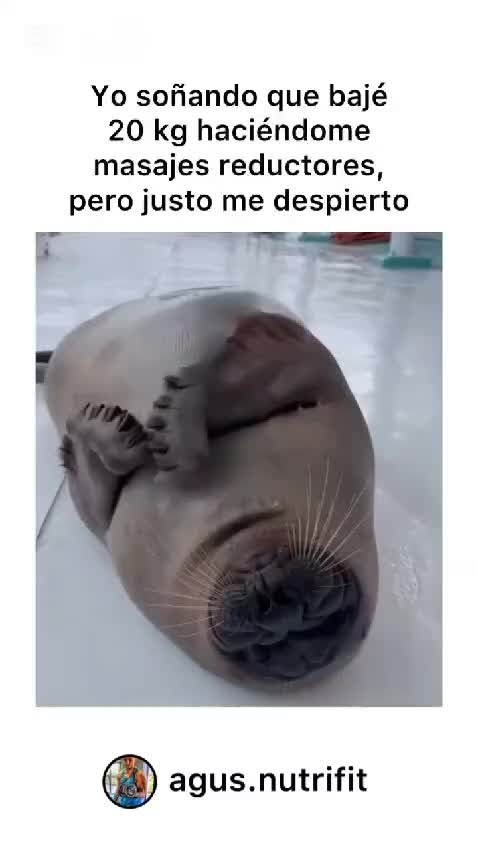 @MARIA ALEJANDRA SAENZ