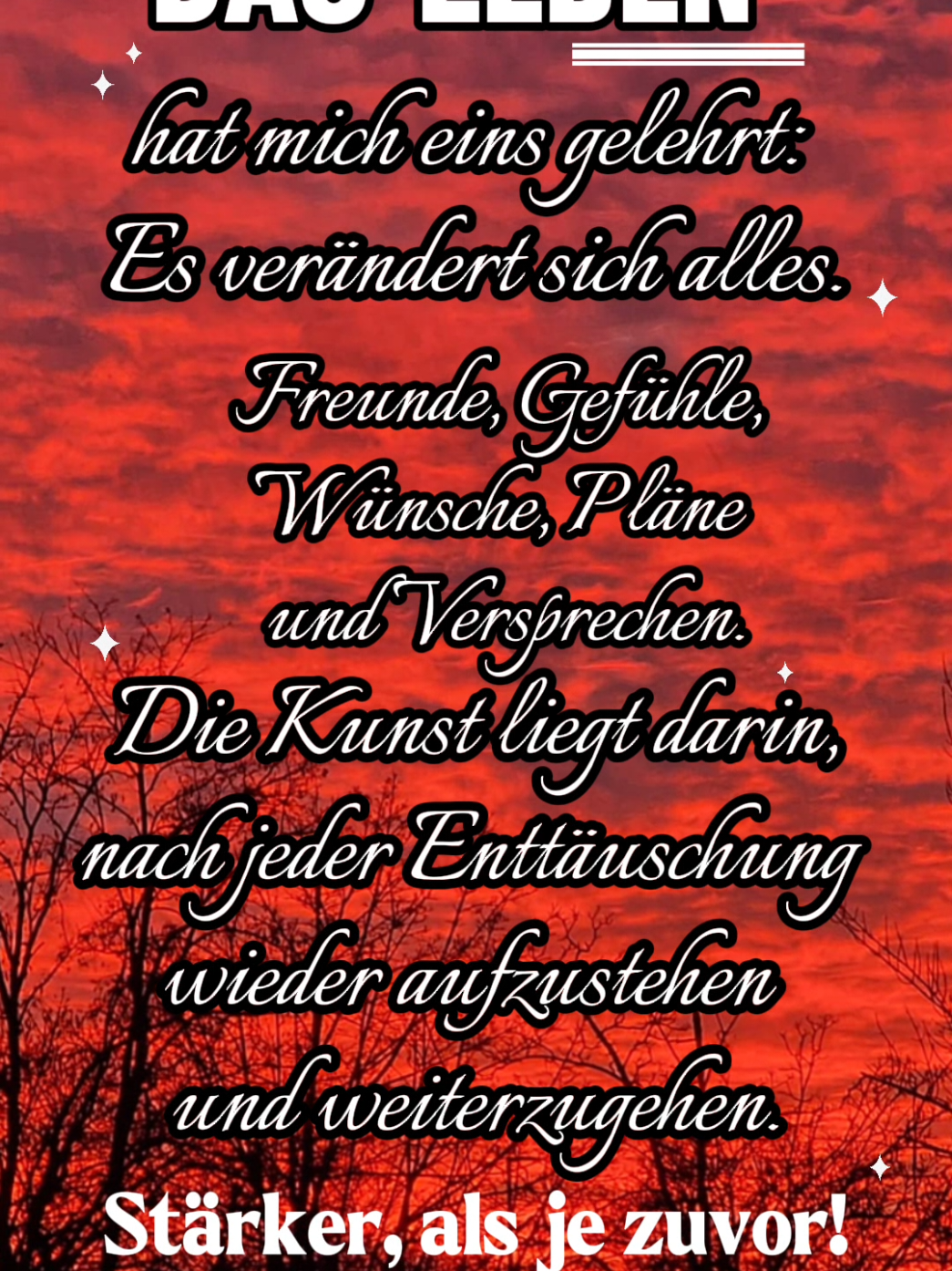 @🇩🇪ROSE.DIE.ECHTE🇩🇪