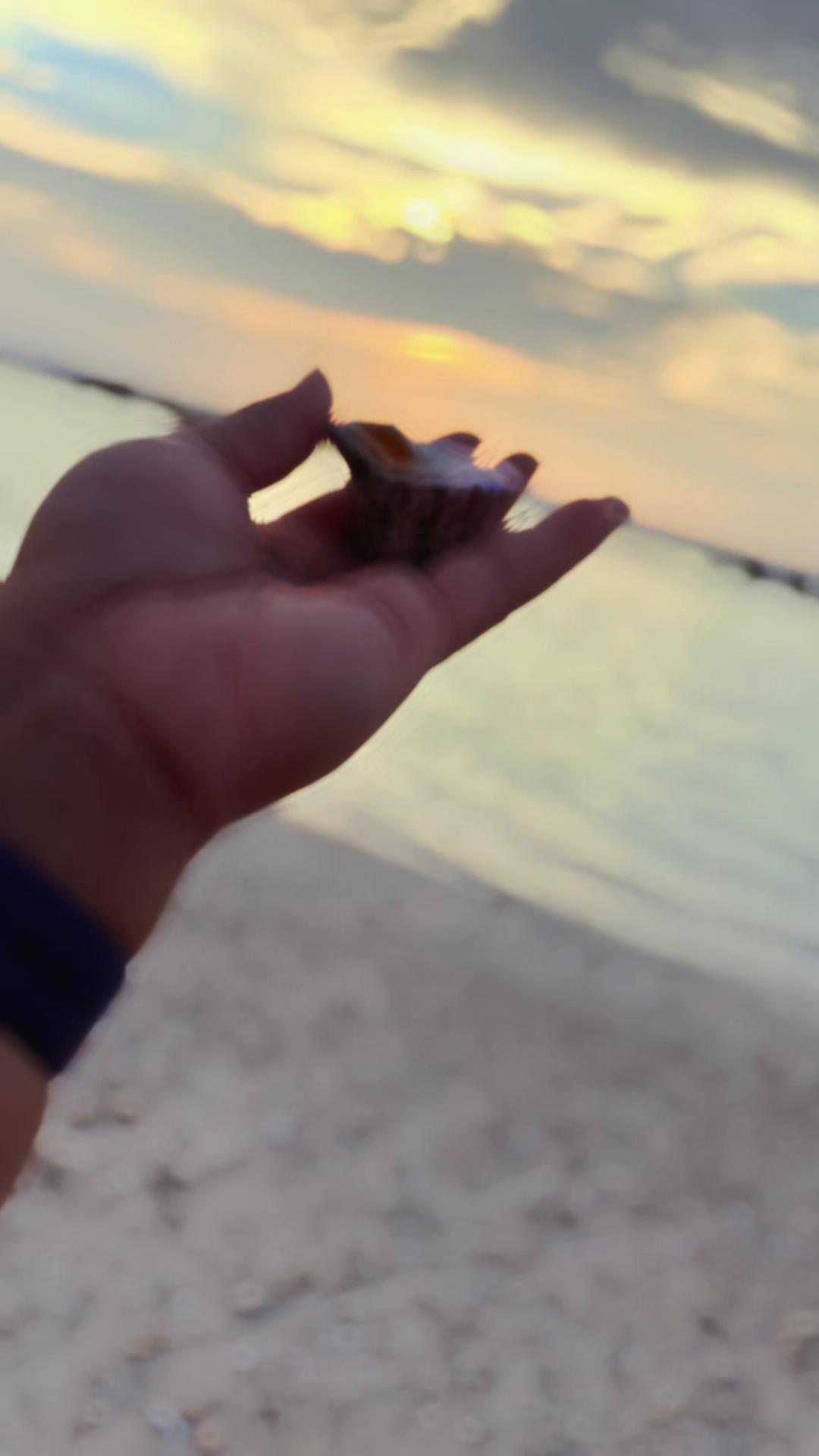 @A5n🦋