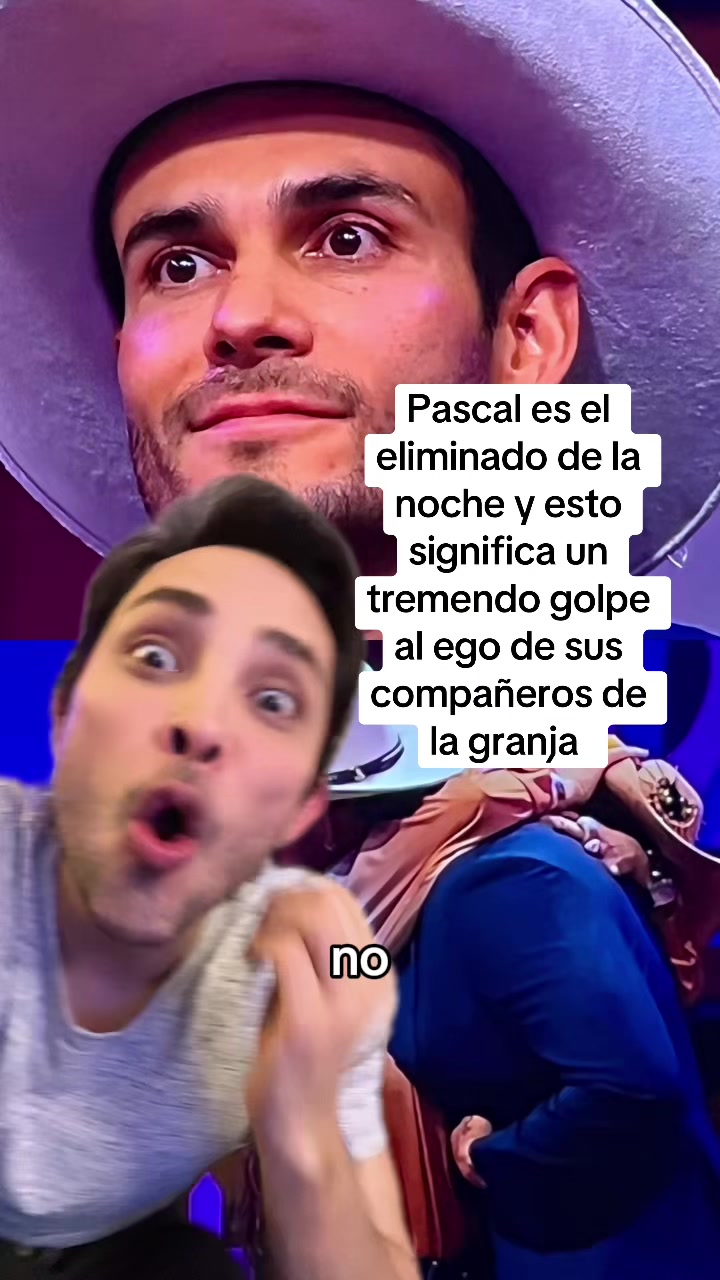 @MAKITO MAKITO🐱